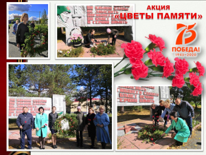 Акция &quot;Цветы памяти&quot;