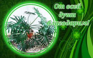 От всей души БЛАГОДАРИМ!