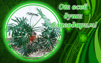 От всей души БЛАГОДАРИМ!