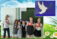 голубь мира